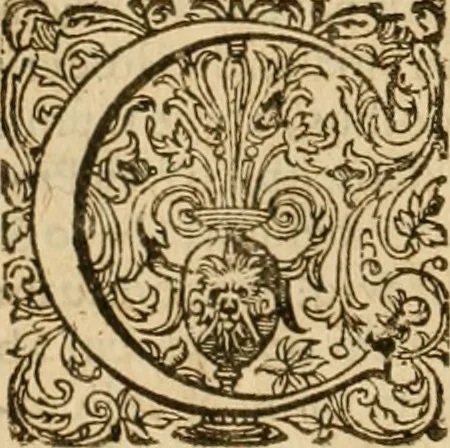 An illustration from Sylloge numismatum elegantiorum, quae diuersi impp., reges, principes, comites, respublicae diuersas ob causas ab anno 1500 ad annum usq[ue] 1600 cudi fecerunt, concinnata & historica narratione (sed breui) illustrata, 1620, leaf 135
