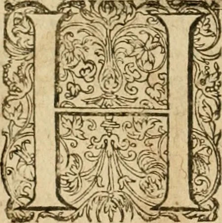 An illustration from Sylloge numismatum elegantiorum, quae diuersi impp., reges, principes, comites, respublicae diuersas ob causas ab anno 1500 ad annum usq[ue] 1600 cudi fecerunt, concinnata & historica narratione (sed breui) illustrata, 1620, leaf 139
