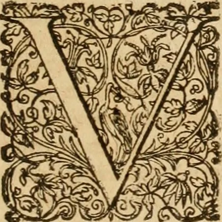 An illustration from Sylloge numismatum elegantiorum, quae diuersi impp., reges, principes, comites, respublicae diuersas ob causas ab anno 1500 ad annum usq[ue] 1600 cudi fecerunt, concinnata & historica narratione (sed breui) illustrata, 1620, leaf 140