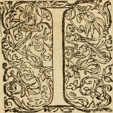 An illustration from Sylloge numismatum elegantiorum, quae diuersi impp., reges, principes, comites, respublicae diuersas ob causas ab anno 1500 ad annum usq[ue] 1600 cudi fecerunt, concinnata & historica narratione (sed breui) illustrata, 1620, leaf 142