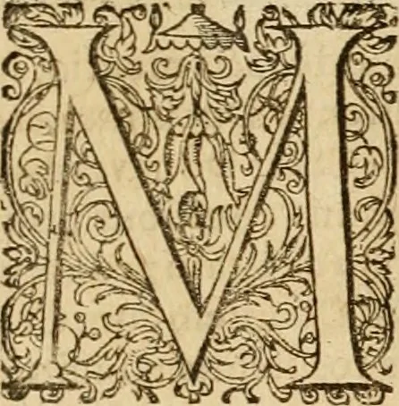 An illustration from Sylloge numismatum elegantiorum, quae diuersi impp., reges, principes, comites, respublicae diuersas ob causas ab anno 1500 ad annum usq[ue] 1600 cudi fecerunt, concinnata & historica narratione (sed breui) illustrata, 1620, leaf 146