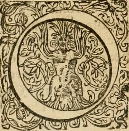 An illustration from Sylloge numismatum elegantiorum, quae diuersi impp., reges, principes, comites, respublicae diuersas ob causas ab anno 1500 ad annum usq[ue] 1600 cudi fecerunt, concinnata & historica narratione (sed breui) illustrata, 1620, leaf 147