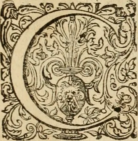 An illustration from Sylloge numismatum elegantiorum, quae diuersi impp., reges, principes, comites, respublicae diuersas ob causas ab anno 1500 ad annum usq[ue] 1600 cudi fecerunt, concinnata & historica narratione (sed breui) illustrata, 1620, leaf 148