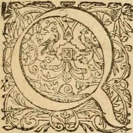 An illustration from Sylloge numismatum elegantiorum, quae diuersi impp., reges, principes, comites, respublicae diuersas ob causas ab anno 1500 ad annum usq[ue] 1600 cudi fecerunt, concinnata & historica narratione (sed breui) illustrata, 1620, leaf 162