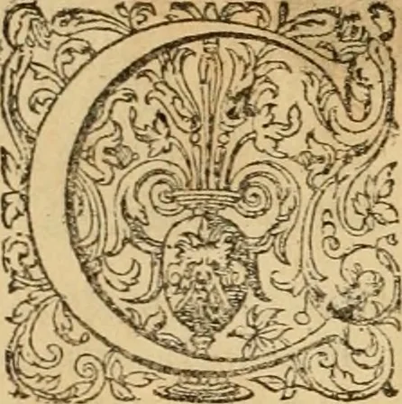 An illustration from Sylloge numismatum elegantiorum, quae diuersi impp., reges, principes, comites, respublicae diuersas ob causas ab anno 1500 ad annum usq[ue] 1600 cudi fecerunt, concinnata & historica narratione (sed breui) illustrata, 1620, leaf 168