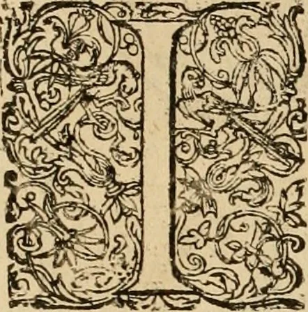 An illustration from Sylloge numismatum elegantiorum, quae diuersi impp., reges, principes, comites, respublicae diuersas ob causas ab anno 1500 ad annum usq[ue] 1600 cudi fecerunt, concinnata & historica narratione (sed breui) illustrata, 1620, leaf 170