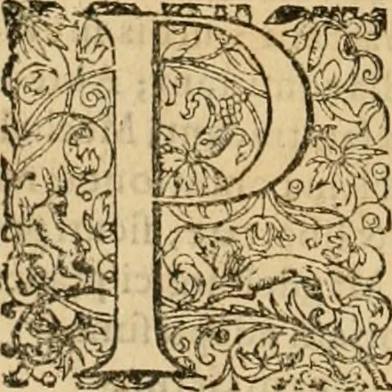 An illustration from Sylloge numismatum elegantiorum, quae diuersi impp., reges, principes, comites, respublicae diuersas ob causas ab anno 1500 ad annum usq[ue] 1600 cudi fecerunt, concinnata & historica narratione (sed breui) illustrata, 1620, leaf 171