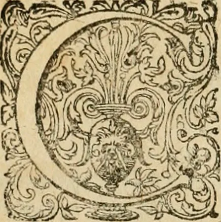 An illustration from Sylloge numismatum elegantiorum, quae diuersi impp., reges, principes, comites, respublicae diuersas ob causas ab anno 1500 ad annum usq[ue] 1600 cudi fecerunt, concinnata & historica narratione (sed breui) illustrata, 1620, leaf 175