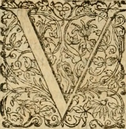 An illustration from Sylloge numismatum elegantiorum, quae diuersi impp., reges, principes, comites, respublicae diuersas ob causas ab anno 1500 ad annum usq[ue] 1600 cudi fecerunt, concinnata & historica narratione (sed breui) illustrata, 1620, leaf 179