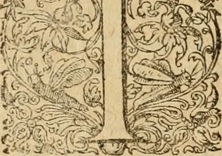An illustration from Sylloge numismatum elegantiorum, quae diuersi impp., reges, principes, comites, respublicae diuersas ob causas ab anno 1500 ad annum usq[ue] 1600 cudi fecerunt, concinnata & historica narratione (sed breui) illustrata, 1620, leaf 180