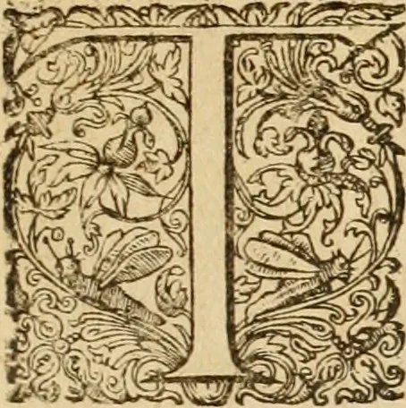 An illustration from Sylloge numismatum elegantiorum, quae diuersi impp., reges, principes, comites, respublicae diuersas ob causas ab anno 1500 ad annum usq[ue] 1600 cudi fecerunt, concinnata & historica narratione (sed breui) illustrata, 1620, leaf 190