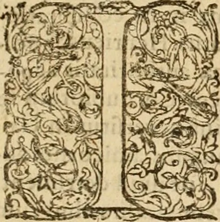 An illustration from Sylloge numismatum elegantiorum, quae diuersi impp., reges, principes, comites, respublicae diuersas ob causas ab anno 1500 ad annum usq[ue] 1600 cudi fecerunt, concinnata & historica narratione (sed breui) illustrata, 1620, leaf 198