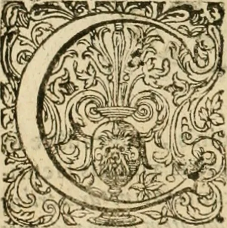 An illustration from Sylloge numismatum elegantiorum, quae diuersi impp., reges, principes, comites, respublicae diuersas ob causas ab anno 1500 ad annum usq[ue] 1600 cudi fecerunt, concinnata & historica narratione (sed breui) illustrata, 1620, leaf 199