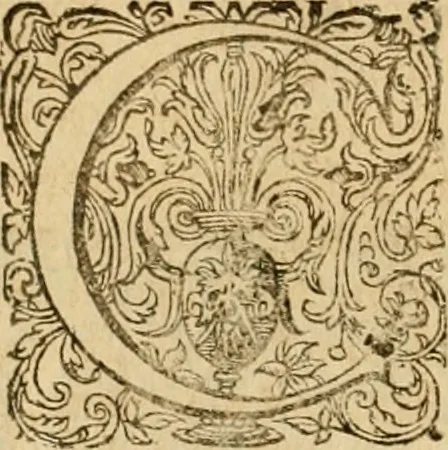 An illustration from Sylloge numismatum elegantiorum, quae diuersi impp., reges, principes, comites, respublicae diuersas ob causas ab anno 1500 ad annum usq[ue] 1600 cudi fecerunt, concinnata & historica narratione (sed breui) illustrata, 1620, leaf 201