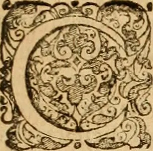 An illustration from Sylloge numismatum elegantiorum, quae diuersi impp., reges, principes, comites, respublicae diuersas ob causas ab anno 1500 ad annum usq[ue] 1600 cudi fecerunt, concinnata & historica narratione (sed breui) illustrata, 1620, leaf 202