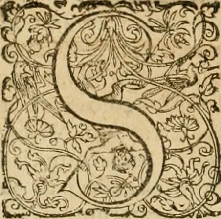 An illustration from Sylloge numismatum elegantiorum, quae diuersi impp., reges, principes, comites, respublicae diuersas ob causas ab anno 1500 ad annum usq[ue] 1600 cudi fecerunt, concinnata & historica narratione (sed breui) illustrata, 1620, leaf 203