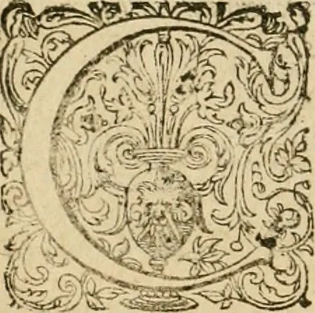 An illustration from Sylloge numismatum elegantiorum, quae diuersi impp., reges, principes, comites, respublicae diuersas ob causas ab anno 1500 ad annum usq[ue] 1600 cudi fecerunt, concinnata & historica narratione (sed breui) illustrata, 1620, leaf 205
