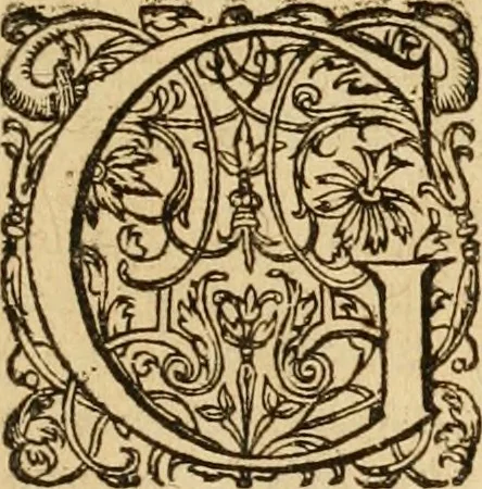 An illustration from Sylloge numismatum elegantiorum, quae diuersi impp., reges, principes, comites, respublicae diuersas ob causas ab anno 1500 ad annum usq[ue] 1600 cudi fecerunt, concinnata & historica narratione (sed breui) illustrata, 1620, leaf 208