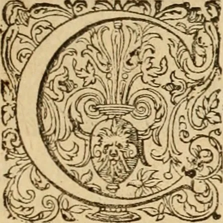An illustration from Sylloge numismatum elegantiorum, quae diuersi impp., reges, principes, comites, respublicae diuersas ob causas ab anno 1500 ad annum usq[ue] 1600 cudi fecerunt, concinnata & historica narratione (sed breui) illustrata, 1620, leaf 214