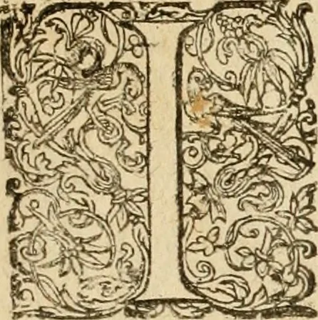 An illustration from Sylloge numismatum elegantiorum, quae diuersi impp., reges, principes, comites, respublicae diuersas ob causas ab anno 1500 ad annum usq[ue] 1600 cudi fecerunt, concinnata & historica narratione (sed breui) illustrata, 1620, leaf 216