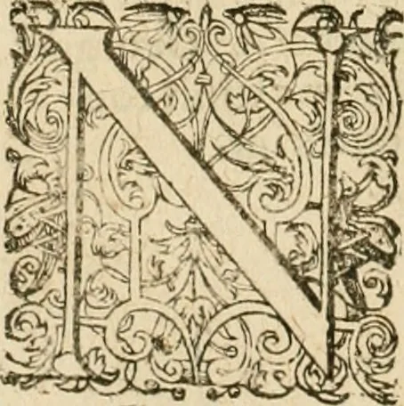 An illustration from Sylloge numismatum elegantiorum, quae diuersi impp., reges, principes, comites, respublicae diuersas ob causas ab anno 1500 ad annum usq[ue] 1600 cudi fecerunt, concinnata & historica narratione (sed breui) illustrata, 1620, leaf 219