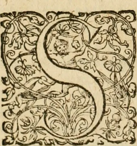 An illustration from Sylloge numismatum elegantiorum, quae diuersi impp., reges, principes, comites, respublicae diuersas ob causas ab anno 1500 ad annum usq[ue] 1600 cudi fecerunt, concinnata & historica narratione (sed breui) illustrata, 1620, leaf 225