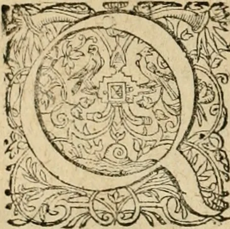 An illustration from Sylloge numismatum elegantiorum, quae diuersi impp., reges, principes, comites, respublicae diuersas ob causas ab anno 1500 ad annum usq[ue] 1600 cudi fecerunt, concinnata & historica narratione (sed breui) illustrata, 1620, leaf 231
