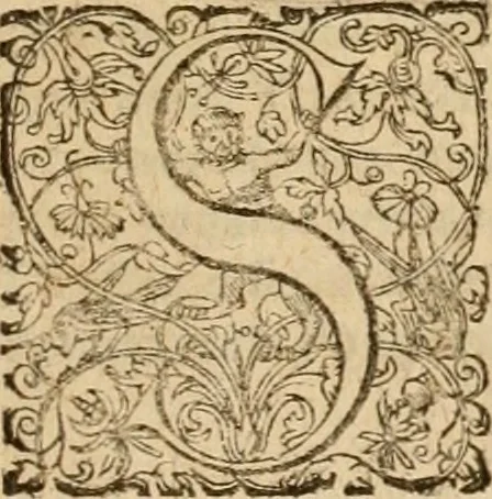 An illustration from Sylloge numismatum elegantiorum, quae diuersi impp., reges, principes, comites, respublicae diuersas ob causas ab anno 1500 ad annum usq[ue] 1600 cudi fecerunt, concinnata & historica narratione (sed breui) illustrata, 1620, leaf 238