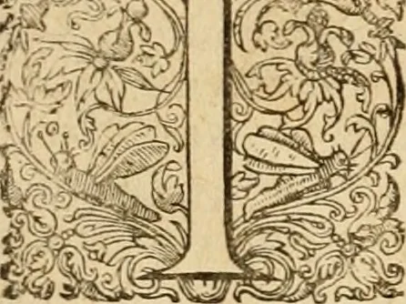 An illustration from Sylloge numismatum elegantiorum, quae diuersi impp., reges, principes, comites, respublicae diuersas ob causas ab anno 1500 ad annum usq[ue] 1600 cudi fecerunt, concinnata & historica narratione (sed breui) illustrata, 1620, leaf 240