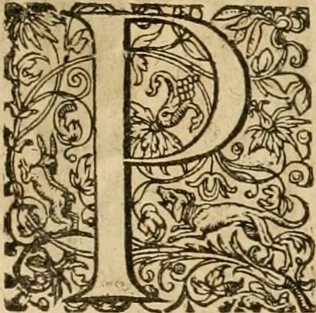 An illustration from Sylloge numismatum elegantiorum, quae diuersi impp., reges, principes, comites, respublicae diuersas ob causas ab anno 1500 ad annum usq[ue] 1600 cudi fecerunt, concinnata & historica narratione (sed breui) illustrata, 1620, leaf 246