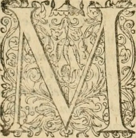 An illustration from Sylloge numismatum elegantiorum, quae diuersi impp., reges, principes, comites, respublicae diuersas ob causas ab anno 1500 ad annum usq[ue] 1600 cudi fecerunt, concinnata & historica narratione (sed breui) illustrata, 1620, leaf 247