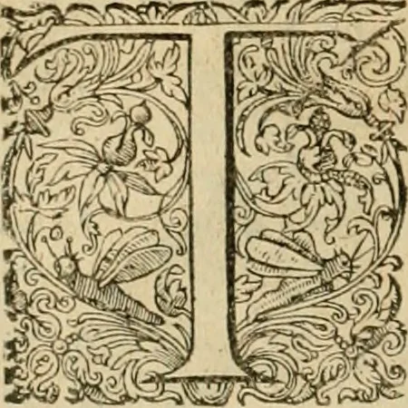 An illustration from Sylloge numismatum elegantiorum, quae diuersi impp., reges, principes, comites, respublicae diuersas ob causas ab anno 1500 ad annum usq[ue] 1600 cudi fecerunt, concinnata & historica narratione (sed breui) illustrata, 1620, leaf 249