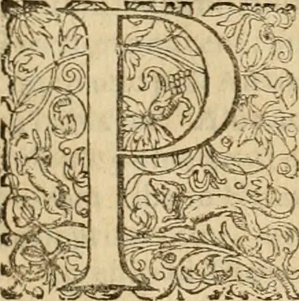 An illustration from Sylloge numismatum elegantiorum, quae diuersi impp., reges, principes, comites, respublicae diuersas ob causas ab anno 1500 ad annum usq[ue] 1600 cudi fecerunt, concinnata & historica narratione (sed breui) illustrata, 1620, leaf 250