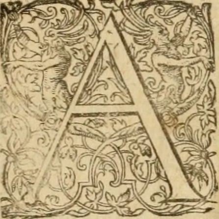 An illustration from Sylloge numismatum elegantiorum, quae diuersi impp., reges, principes, comites, respublicae diuersas ob causas ab anno 1500 ad annum usq[ue] 1600 cudi fecerunt, concinnata & historica narratione (sed breui) illustrata, 1620, leaf 252