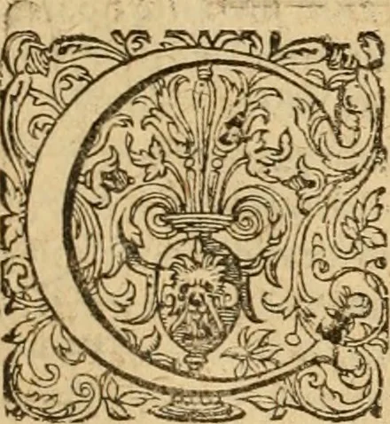 An illustration from Sylloge numismatum elegantiorum, quae diuersi impp., reges, principes, comites, respublicae diuersas ob causas ab anno 1500 ad annum usq[ue] 1600 cudi fecerunt, concinnata & historica narratione (sed breui) illustrata, 1620, leaf 260