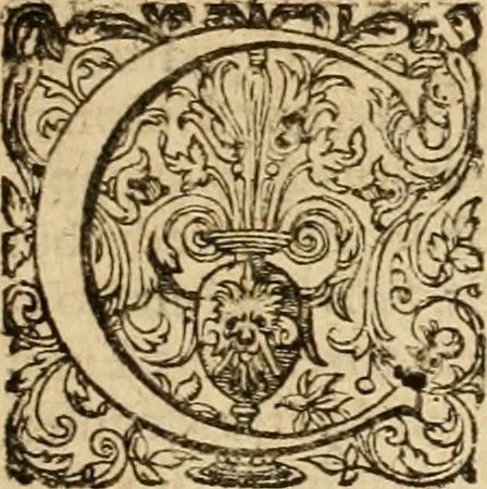 An illustration from Sylloge numismatum elegantiorum, quae diuersi impp., reges, principes, comites, respublicae diuersas ob causas ab anno 1500 ad annum usq[ue] 1600 cudi fecerunt, concinnata & historica narratione (sed breui) illustrata, 1620, leaf 262