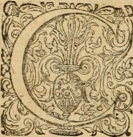 An illustration from Sylloge numismatum elegantiorum, quae diuersi impp., reges, principes, comites, respublicae diuersas ob causas ab anno 1500 ad annum usq[ue] 1600 cudi fecerunt, concinnata & historica narratione (sed breui) illustrata, 1620, leaf 264