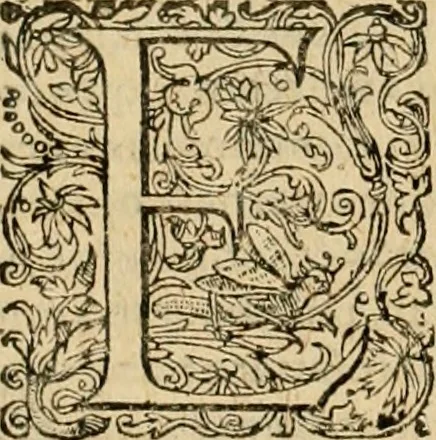 An illustration from Sylloge numismatum elegantiorum, quae diuersi impp., reges, principes, comites, respublicae diuersas ob causas ab anno 1500 ad annum usq[ue] 1600 cudi fecerunt, concinnata & historica narratione (sed breui) illustrata, 1620, leaf 265