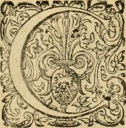 An illustration from Sylloge numismatum elegantiorum, quae diuersi impp., reges, principes, comites, respublicae diuersas ob causas ab anno 1500 ad annum usq[ue] 1600 cudi fecerunt, concinnata & historica narratione (sed breui) illustrata, 1620, leaf 267