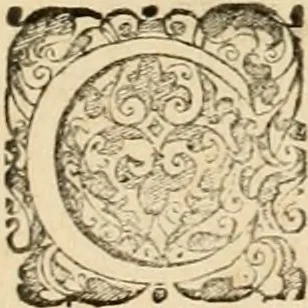 An illustration from Sylloge numismatum elegantiorum, quae diuersi impp., reges, principes, comites, respublicae diuersas ob causas ab anno 1500 ad annum usq[ue] 1600 cudi fecerunt, concinnata & historica narratione (sed breui) illustrata, 1620, leaf 272