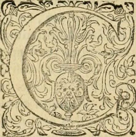 An illustration from Sylloge numismatum elegantiorum, quae diuersi impp., reges, principes, comites, respublicae diuersas ob causas ab anno 1500 ad annum usq[ue] 1600 cudi fecerunt, concinnata & historica narratione (sed breui) illustrata, 1620, leaf 275