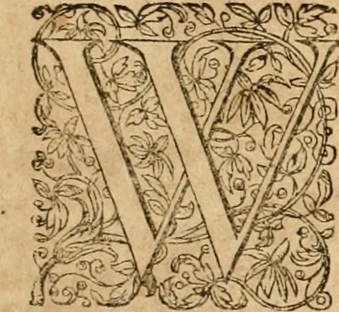 An illustration from Sylloge numismatum elegantiorum, quae diuersi impp., reges, principes, comites, respublicae diuersas ob causas ab anno 1500 ad annum usq[ue] 1600 cudi fecerunt, concinnata & historica narratione (sed breui) illustrata, 1620, leaf 278