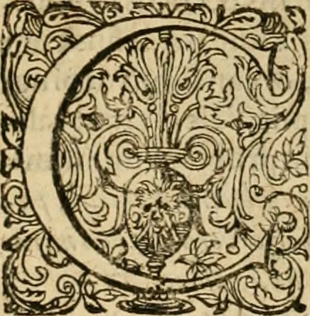 An illustration from Sylloge numismatum elegantiorum, quae diuersi impp., reges, principes, comites, respublicae diuersas ob causas ab anno 1500 ad annum usq[ue] 1600 cudi fecerunt, concinnata & historica narratione (sed breui) illustrata, 1620, leaf 283