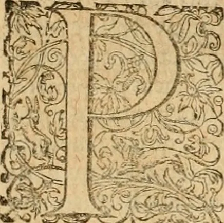 An illustration from Sylloge numismatum elegantiorum, quae diuersi impp., reges, principes, comites, respublicae diuersas ob causas ab anno 1500 ad annum usq[ue] 1600 cudi fecerunt, concinnata & historica narratione (sed breui) illustrata, 1620, leaf 288