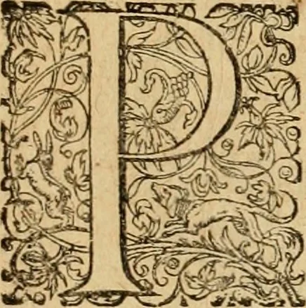 An illustration from Sylloge numismatum elegantiorum, quae diuersi impp., reges, principes, comites, respublicae diuersas ob causas ab anno 1500 ad annum usq[ue] 1600 cudi fecerunt, concinnata & historica narratione (sed breui) illustrata, 1620, leaf 290