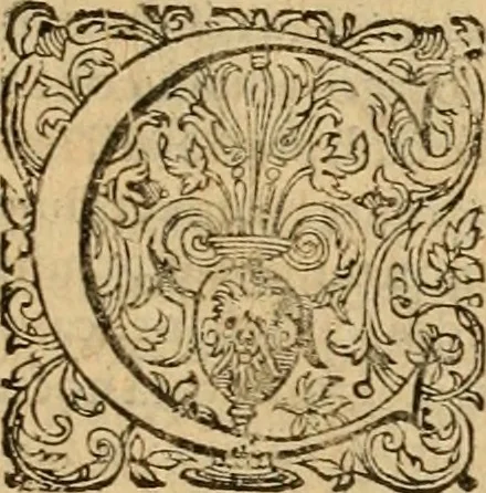 An illustration from Sylloge numismatum elegantiorum, quae diuersi impp., reges, principes, comites, respublicae diuersas ob causas ab anno 1500 ad annum usq[ue] 1600 cudi fecerunt, concinnata & historica narratione (sed breui) illustrata, 1620, leaf 294
