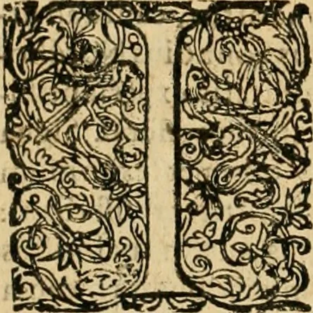 An illustration from Sylloge numismatum elegantiorum, quae diuersi impp., reges, principes, comites, respublicae diuersas ob causas ab anno 1500 ad annum usq[ue] 1600 cudi fecerunt, concinnata & historica narratione (sed breui) illustrata, 1620, leaf 297