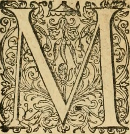 An illustration from Sylloge numismatum elegantiorum, quae diuersi impp., reges, principes, comites, respublicae diuersas ob causas ab anno 1500 ad annum usq[ue] 1600 cudi fecerunt, concinnata & historica narratione (sed breui) illustrata, 1620, leaf 299