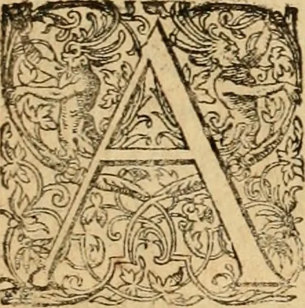 An illustration from Sylloge numismatum elegantiorum, quae diuersi impp., reges, principes, comites, respublicae diuersas ob causas ab anno 1500 ad annum usq[ue] 1600 cudi fecerunt, concinnata & historica narratione (sed breui) illustrata, 1620, leaf 304