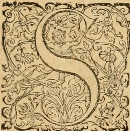 An illustration from Sylloge numismatum elegantiorum, quae diuersi impp., reges, principes, comites, respublicae diuersas ob causas ab anno 1500 ad annum usq[ue] 1600 cudi fecerunt, concinnata & historica narratione (sed breui) illustrata, 1620, leaf 306